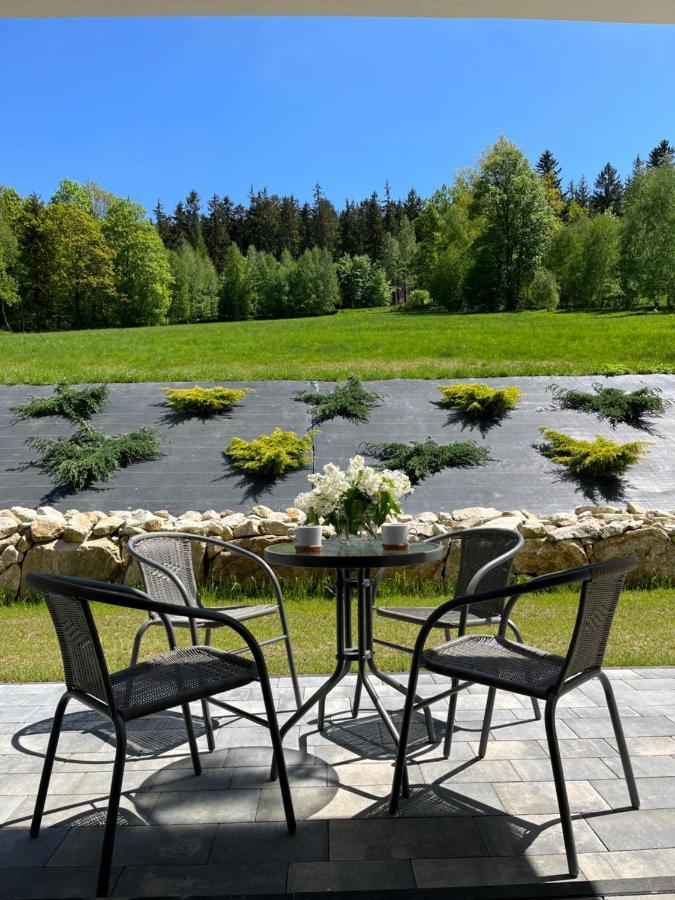 Apartament Na Wzgorzu 1, Sauna, Ebike, Las, Widok - 5D Apartamenty Świeradów-Zdrój Екстериор снимка